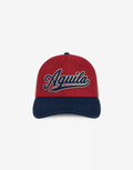 Baseball Logo Hat
