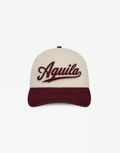 Baseball Logo Hat